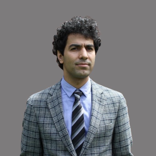 میثم گرجی